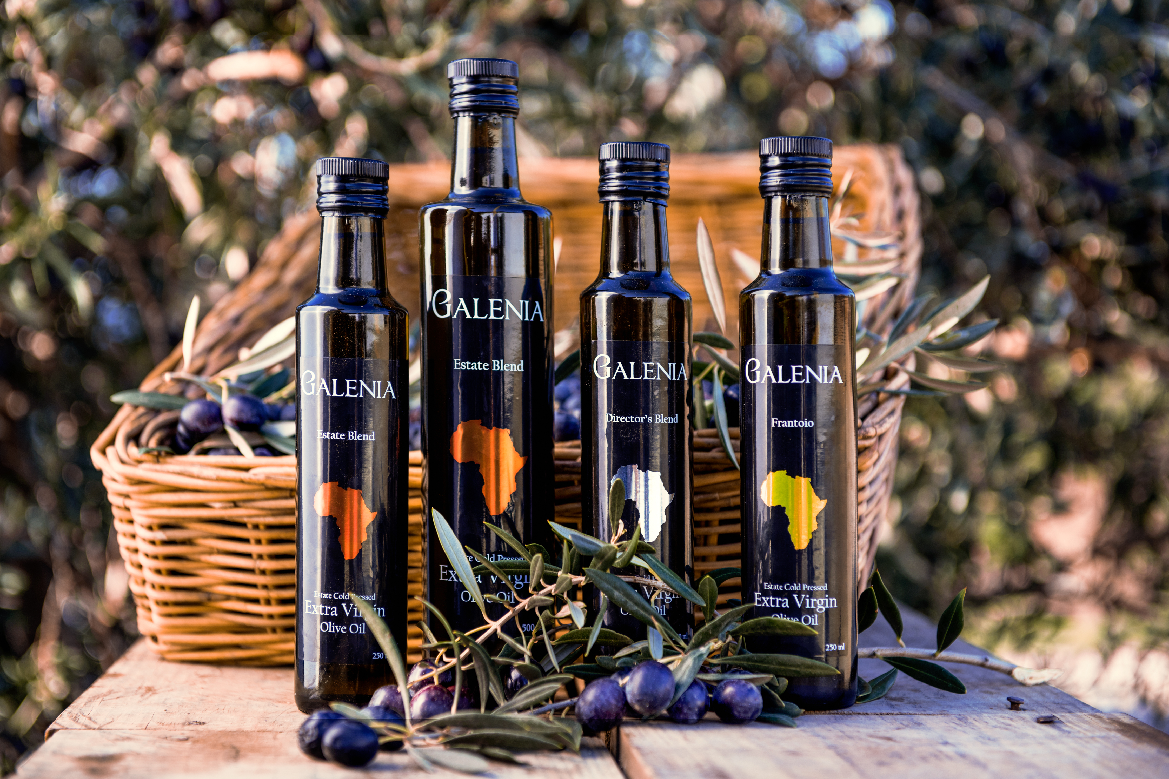 Galenia Estate olive grove with mature trees and mountain backdrop